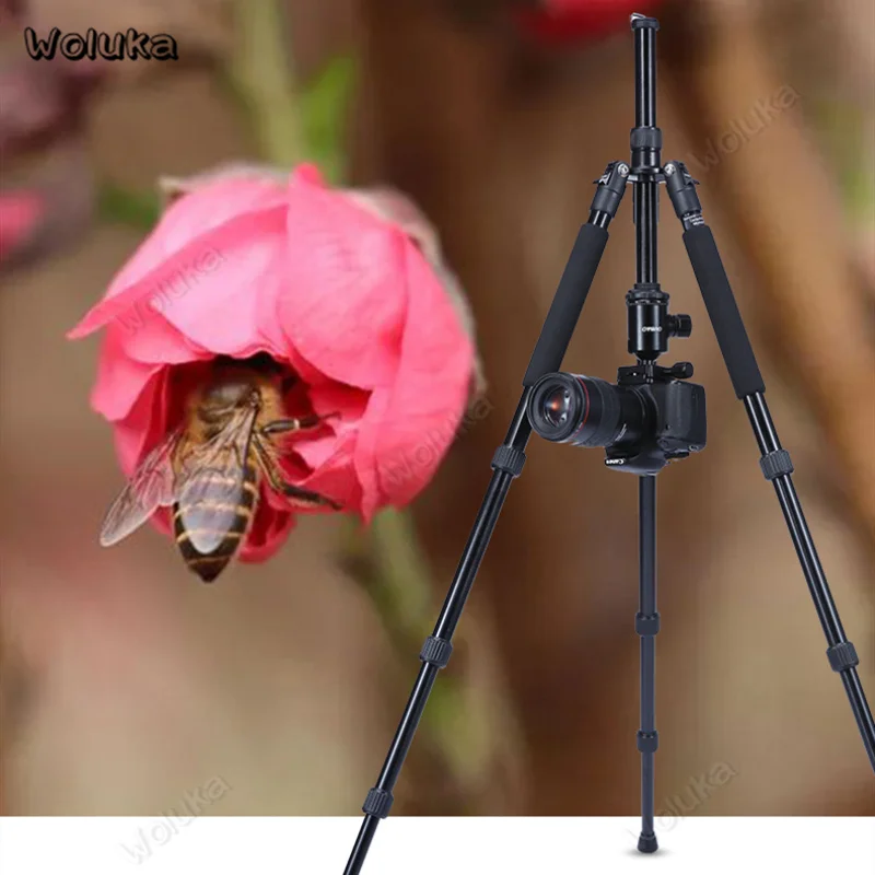 Профессиональная камера штатив подставка для DSLR камеры Мини Портативный штатив для телефона камеры Аксессуары монопод CD50 T10
