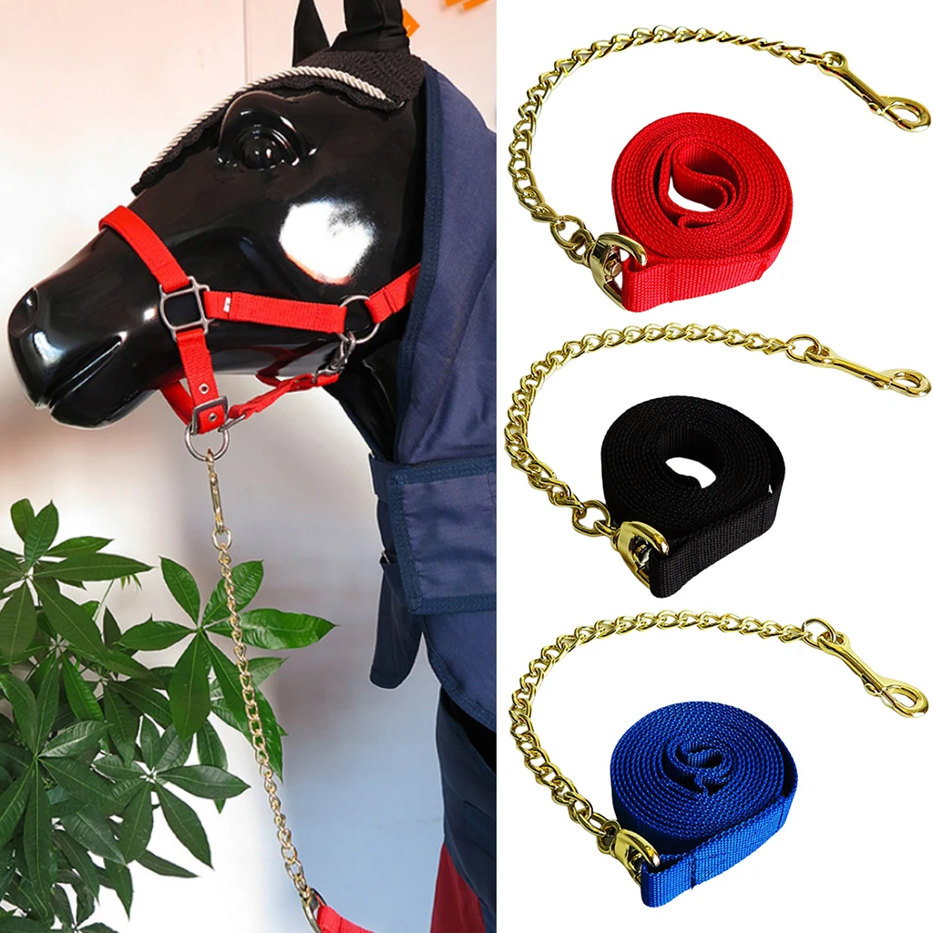 Salida Dureza Tomar represalias Correa De Entrenamiento Para Perros Y Caballos De 20 M, 25 Mm – Mm De  Ancho, Muy Fuerte (Morado) | lagear.com.ar