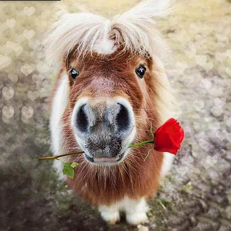 

New Diamond painting Rose With Donkey Diy Diamond Embroidery Animal Pasted round full Drill home decor crafts