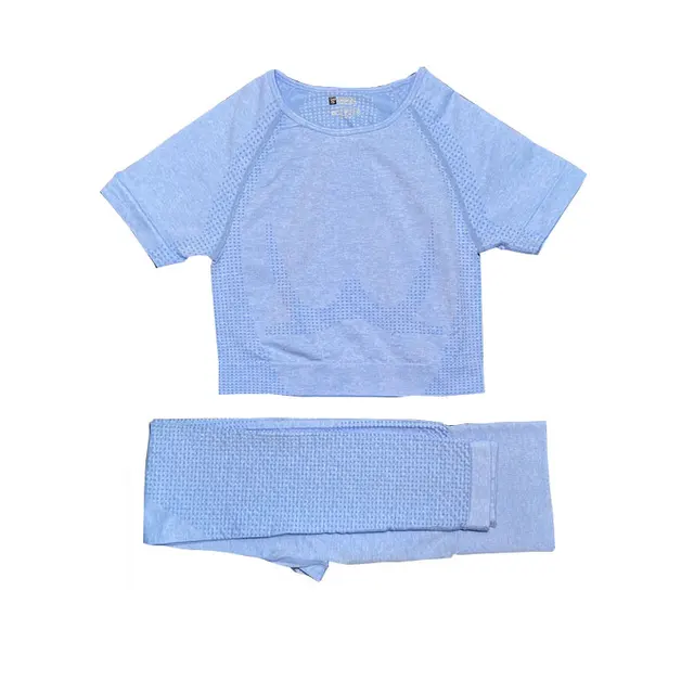 2/3/5PCS Women Sportswear Yoga Set Gym Clothing Tracksuit Long Sleeve Crop Top High Waist Seamless Leggings Fitness Sports Suits Short sky blue