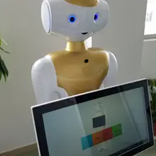 Humanoid английский образовательный робот школьный центр торговый центр зал способ приема голосовой гид робот