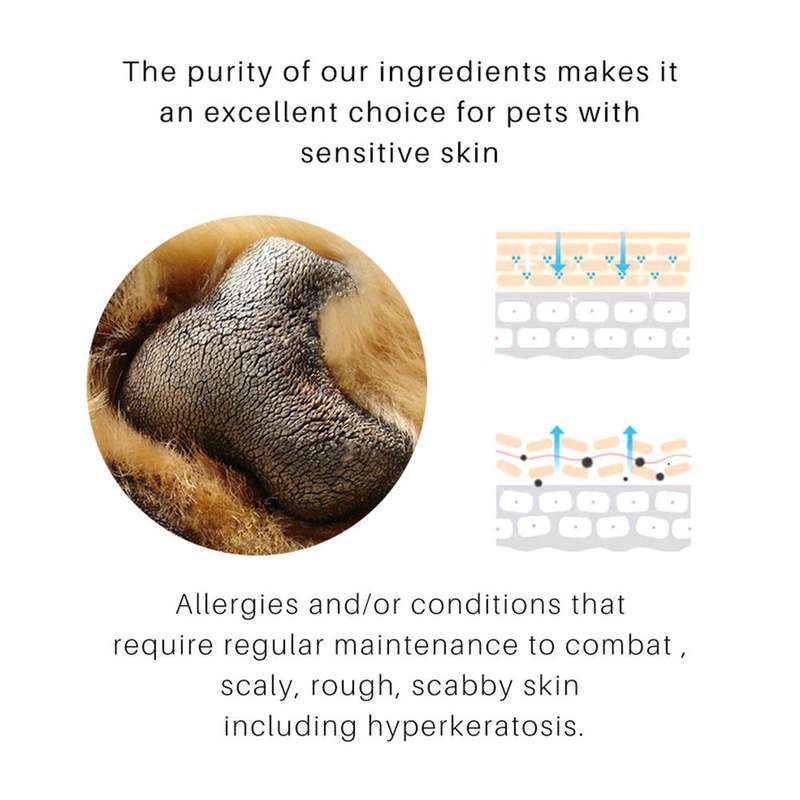 Dog Paw Balm Dog Paw Protection For Hot Pavement Dog Paw Wax LittlePuppy