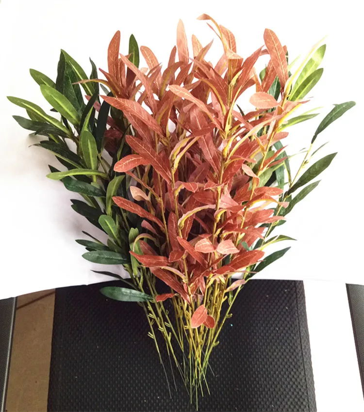 11398841507_1814581953