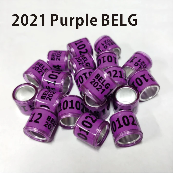 Anillo de pájaro morado, anillos de Paloma, BELG, tamaño de 8MM, año 2021