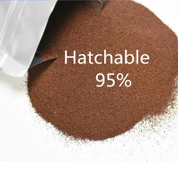 

Fresh Artemia Brine Shrimp Eggs Fish Feed Premium Marine Fish Food Shrimp Food Hatching Eggfood Fish