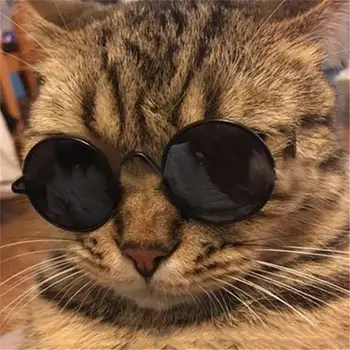 

1pc Pet Sunglasses Fashion Summer Dog Cats Sunglass Eye-Protection Glasses for Puppy Kitten Grooming Products Pet Accessories