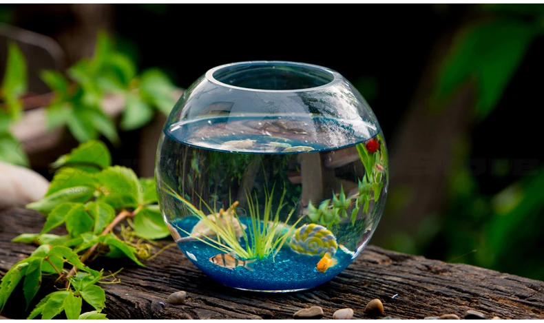 Утолщенное на заказ креативное прозрачное Круглое стекло аквариум для рыб для гостиной маленький аквариум для черепах экологический Золотой аквариум для рыб ленивые домашние