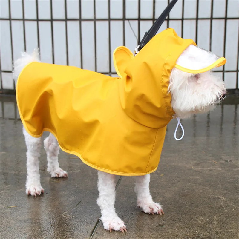 yellow dog raincoat