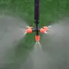 Garden Supplies