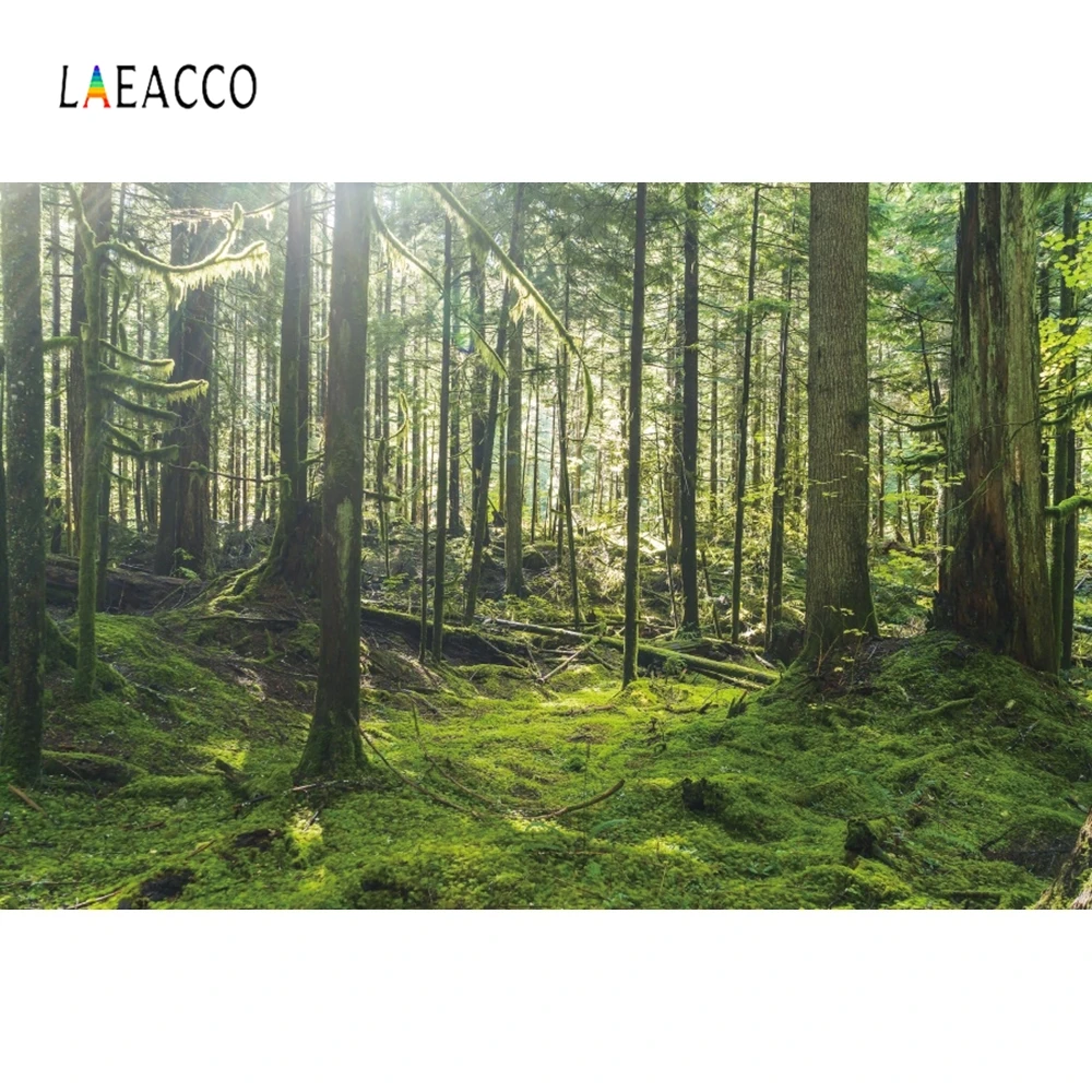 

Laeacco Forest Grassland Photography Backdrops Customized Nature Scenes Photocall Photographic Background For Photo Studio