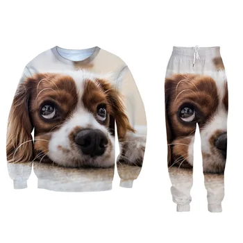 

2 Piece Set For Women Men 3D Printed Cute Animals Sweatshirts Trousers Animal World Loose Tops Sweatpant Casual Clothes Sets