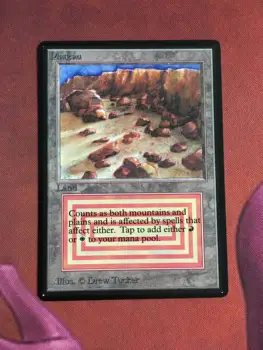 

Plateau Beta magician ProxyKing 8.0 VIP the proxy cards to gathering every single mg card.