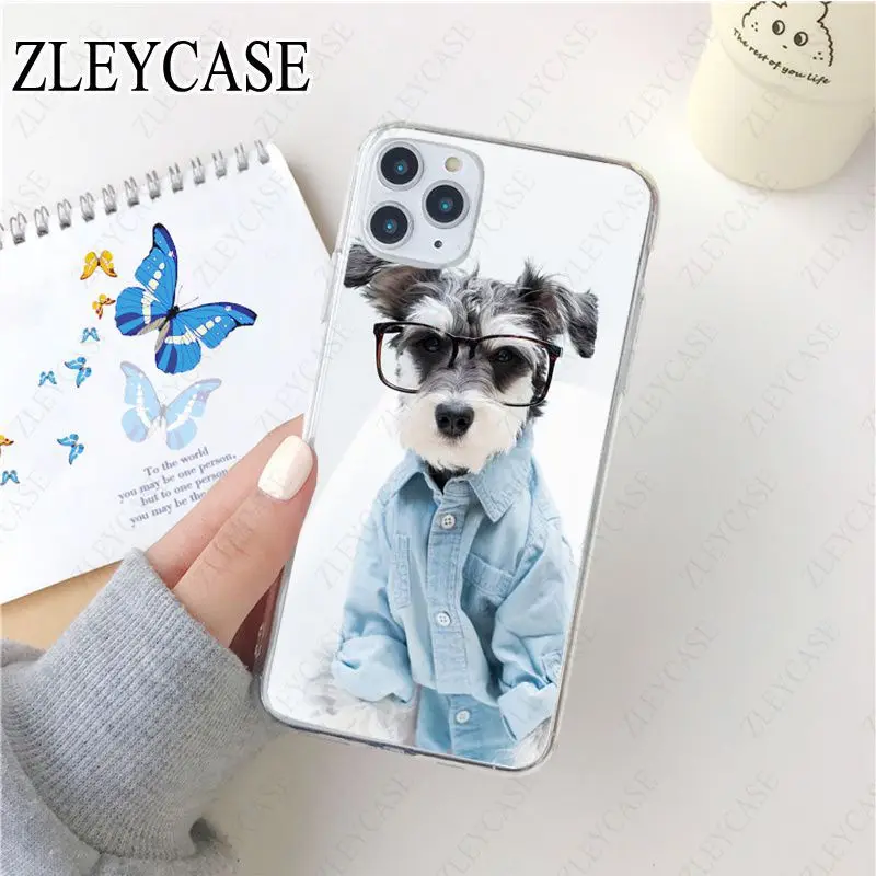 Miniature schnauzer puppy dog