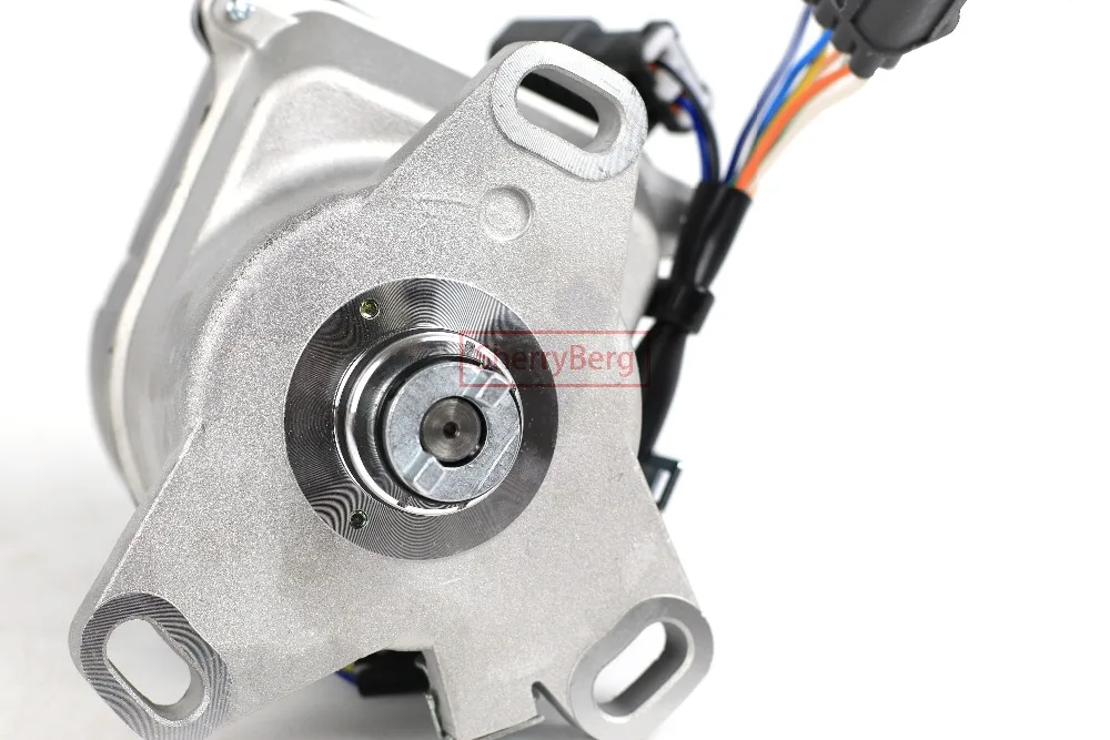 IMG_7261