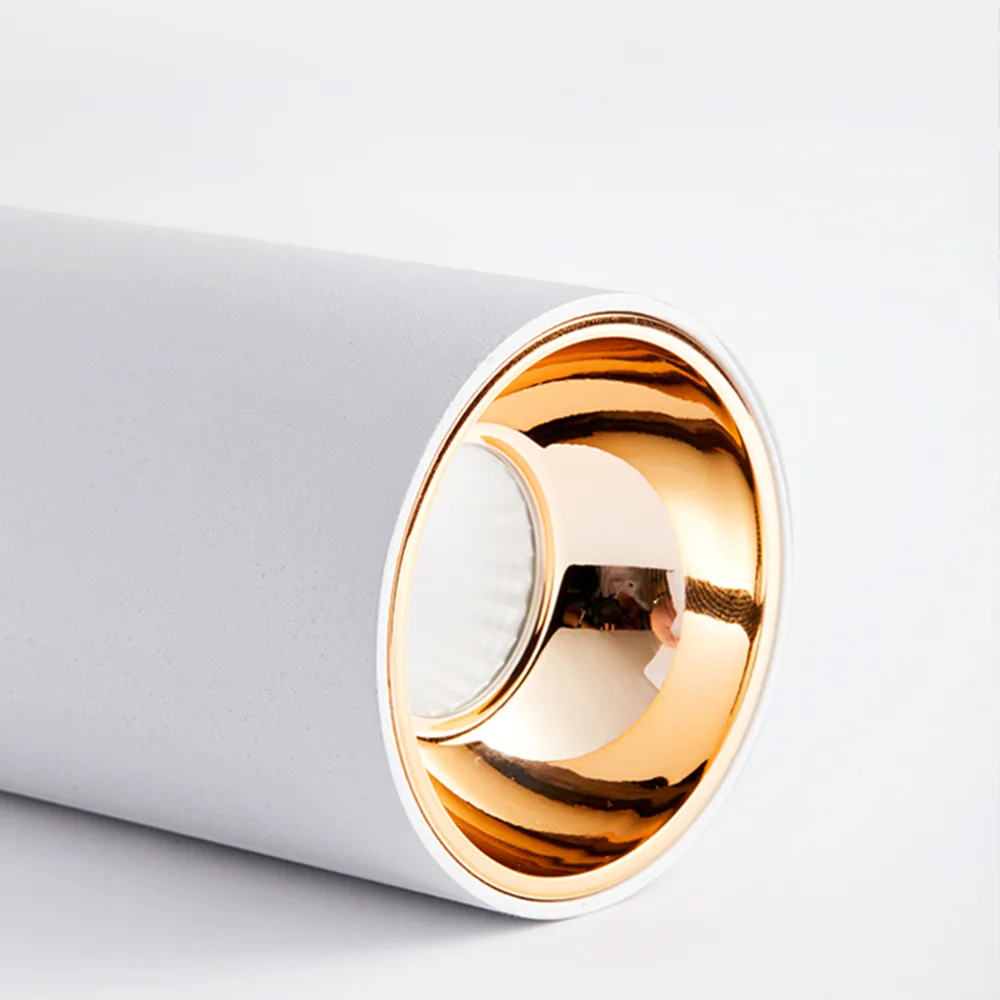 led downlights  (13)