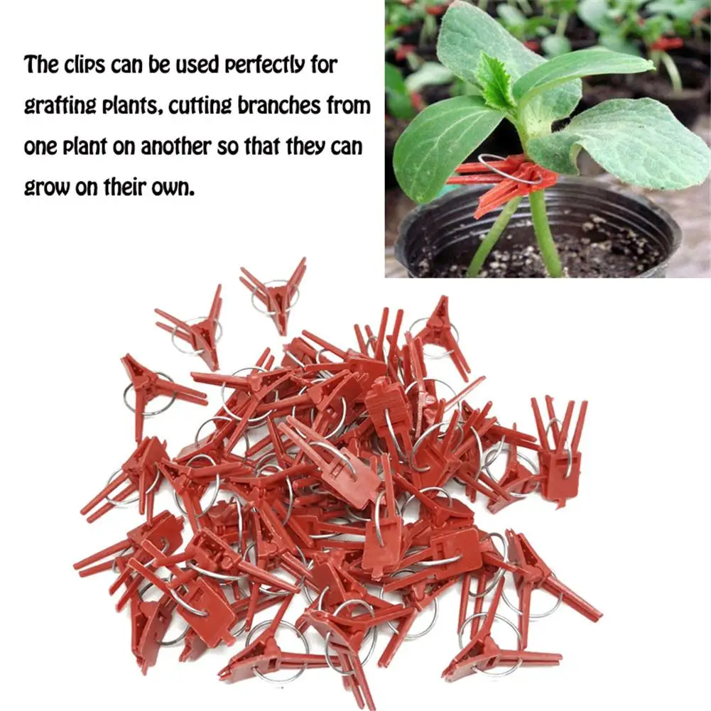 tomates æ— Lot de 100 clips de greffage plats en plastique rouge pour plantes légumes vigne fruits fleurs 