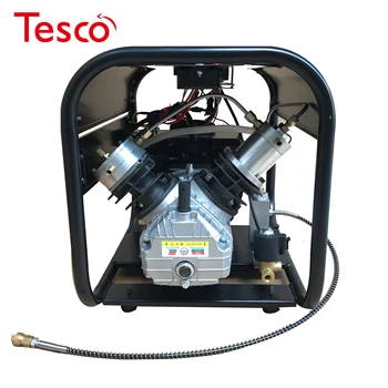 

4500PSI compressor Double Cylinder high pressure PCP air compressor with auto stop and auto purge for PCP tank gas filling