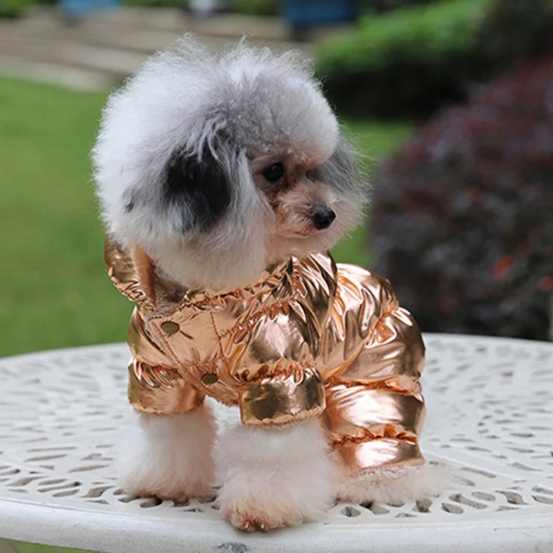 Теплая зимняя крутая модная одежда для собак пальто одежда французская собака породы бульдог одежда для маленьких собак хлопковая стеганая куртка для чихуахуа