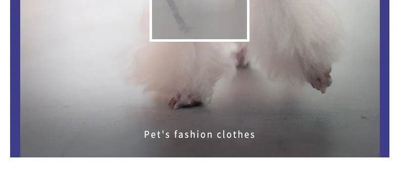 Одежда для собак, одежда для маленьких собак, теплая одежда для собак, пальто для щенков, одежда для больших собак, толстовки для чихуахуа 46 A1