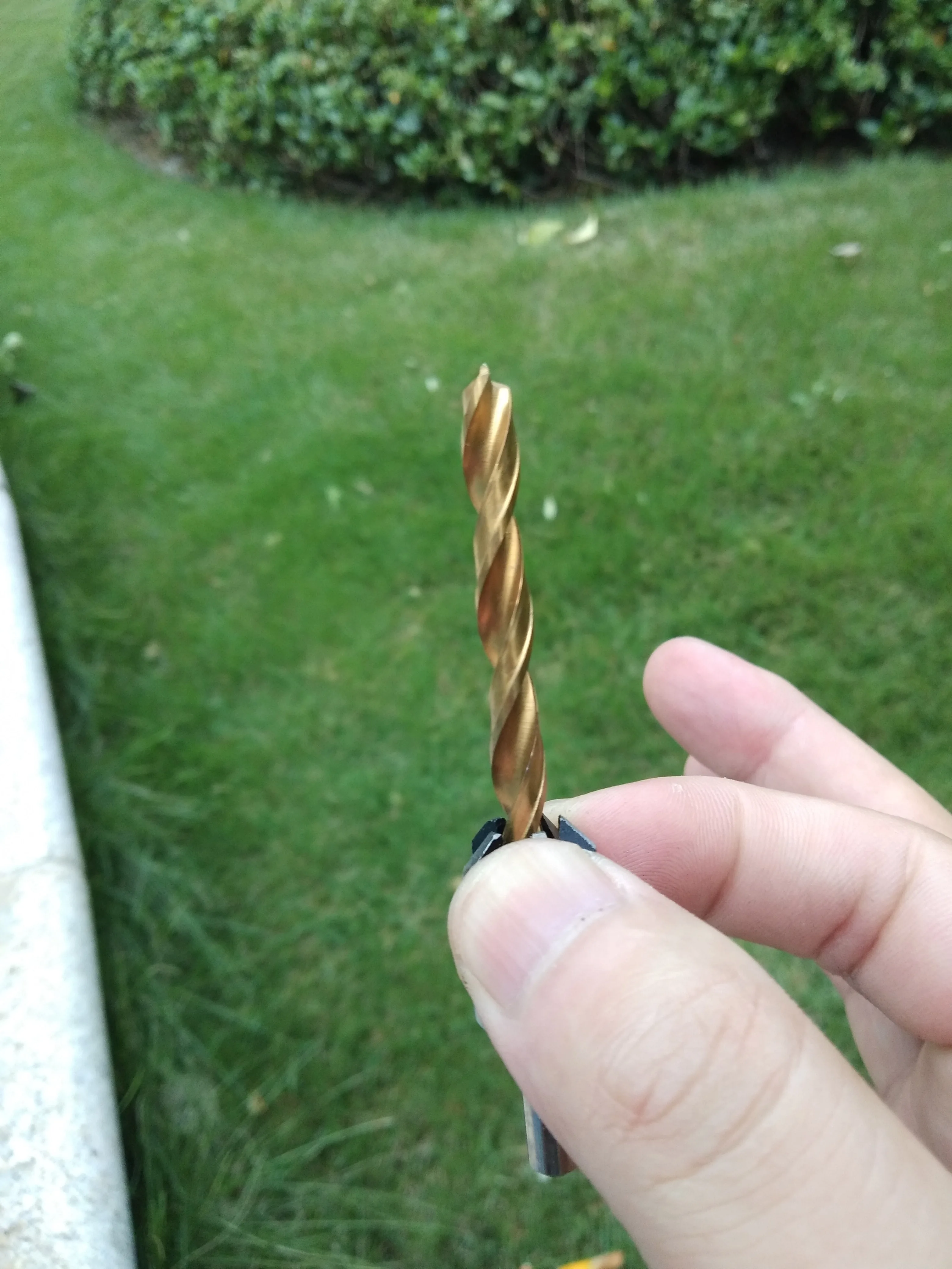 thumb