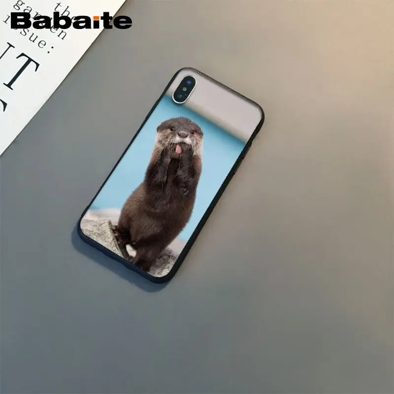 lovely cute Otter water animal