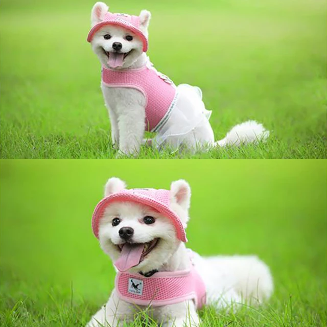 Pet Dog Cat Cap Breathable Sunhat Cloth Mesh Canvas Hat For Small Medium Dogs Cats Caps Pet Products 5