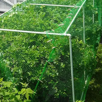 

Plastic Anti Bird Netting Pond Net Protection Crops Fruit Tree Vegetables Flower Garden Mesh Protect Pest Control （green）