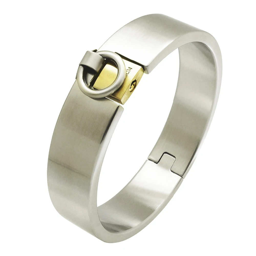 ステンレス製のスレーブカラー、鍵付きトルクチョーカーネックレス