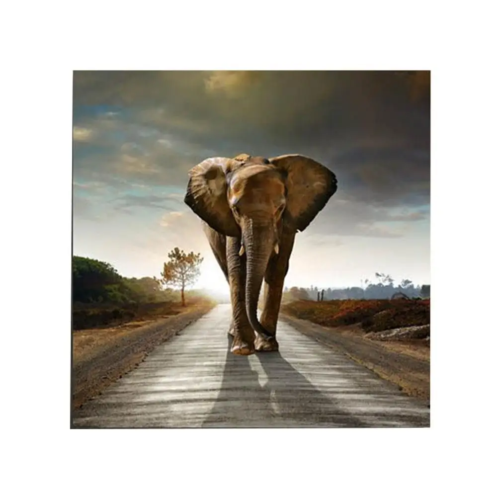 

50X50cm Canvas African Elephant Oil Painting poster DIY Wall Sticker Decoration Modern Art Home Simulation Gift Room Office