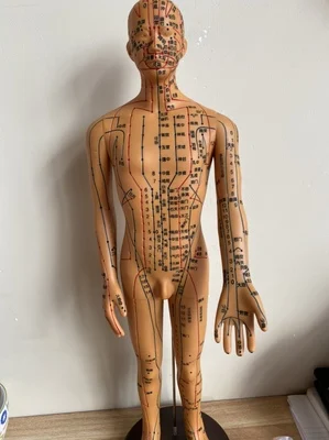 O1CN019xdUqN1x8n3IEsc0B_!!0-rate.jpg_400x400