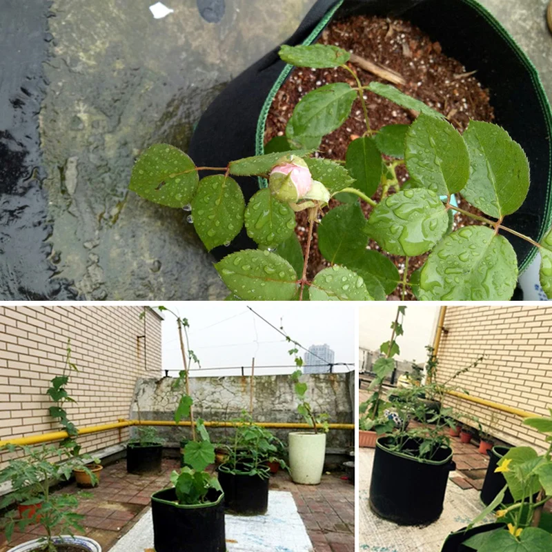 5pcs 5/7/10 Gallon Felt Plant Growing Bags Vegetable Flower Potato Pot Container Garden Planting Basket Farm Home Mushroom Seed 5pcs 5/7/10 Gallon Felt Plant Growing Bags Vegetable Flower Potato Pot Container Garden Planting Basket Farm Home Mushroom Seed