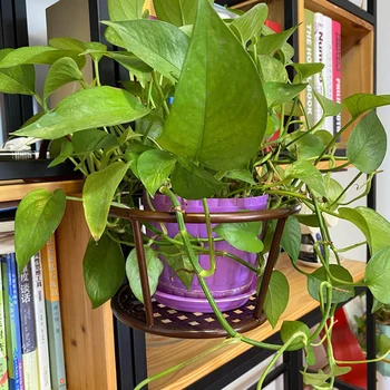 

Removable Balcony Rail Flower Pot Holder Railing Potted Plant Rack Hanging Flower Pot Shelf Stand SEC88