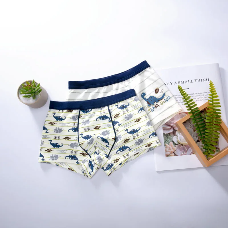 2pcs 02 Нижнее белье из органического хлопка для мальчиков, 2 шт./Партия Детские трусы с рисунком динозавра детские трусы-боксеры трусики для подростков От 2 до 16 лет - Цвет: 2pcs 02