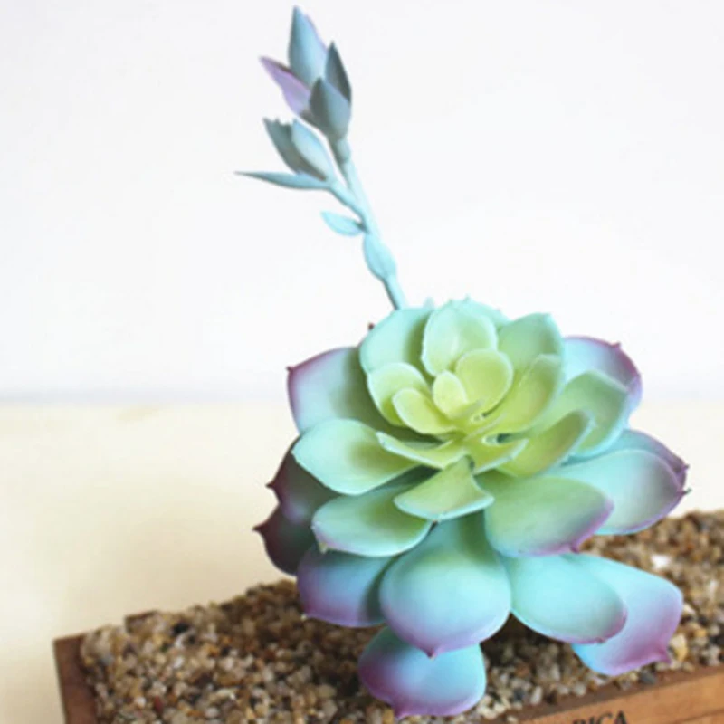

Plastic Succulent Home Decor Potted Decoration Miniature Flower 1 Pieces Artificial Modern