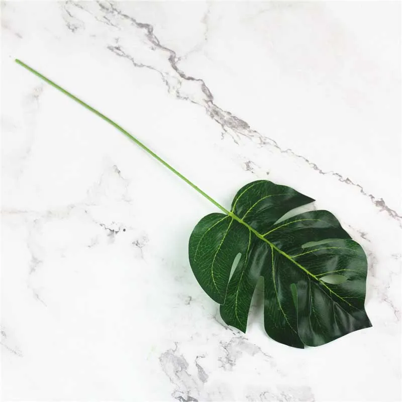 9555259088_2032011975