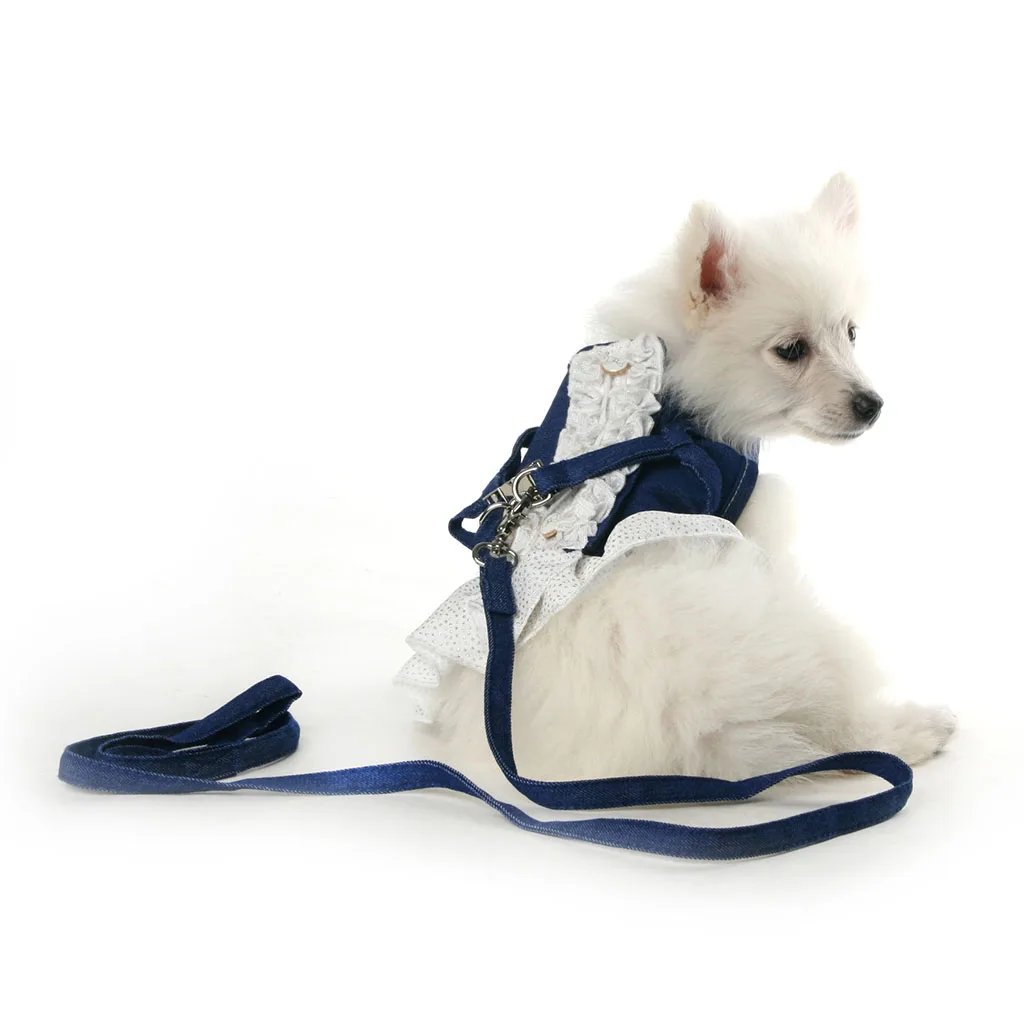 Beautiful and Comfortable Dog Harnesses, Leashes Dresses for Small Pet Cat Puppy, 2 Colors XS/S to Choose