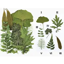 Bolsa de flores secas reales para Vela, colgante de resina epoxi, collar para manualidades, plantas secas, molde de silicona, DIY, accesorios para regalos, 1 bolsa