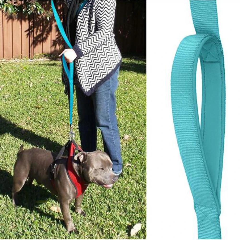 dog leads (5)