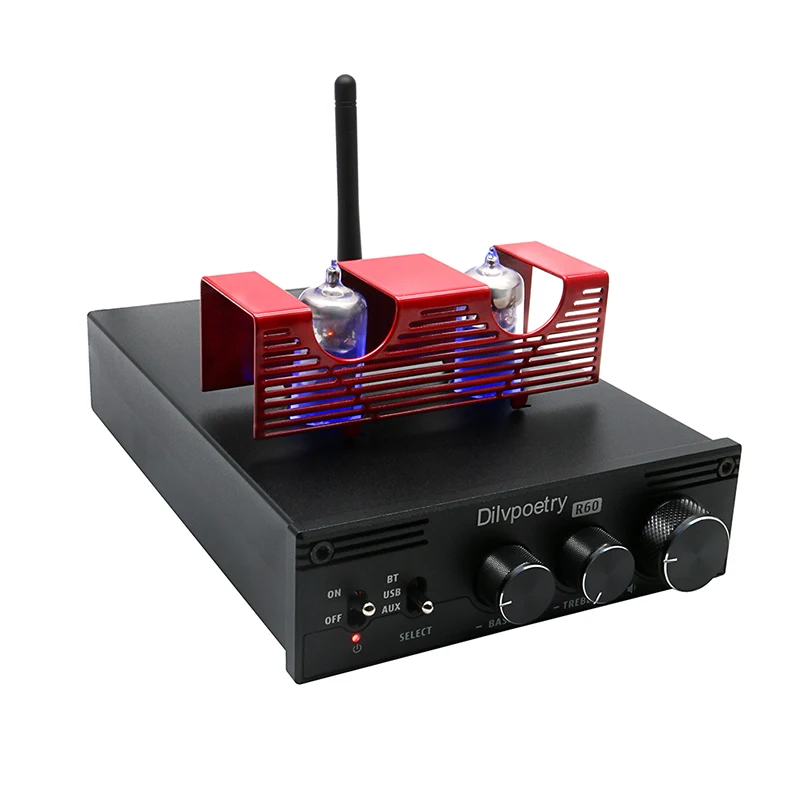 Dilvpoetry-R60 Digital power amplifier 2.0 tube