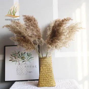 

pampas grass decor Plume length 10-14 inches feather flowers wedding flowers dried bouquets Shop home decor with plastic vase