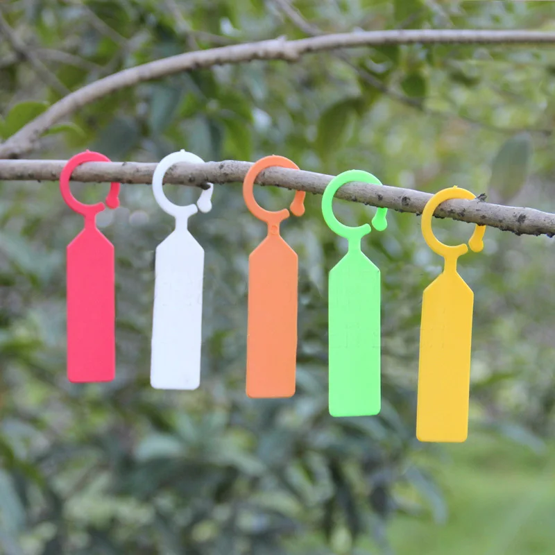 

Reusable Wine Bottle Tags Buckle Plastic Gardening Label Thicken 10Pcs/set Seedling labels Portable Plant Label
