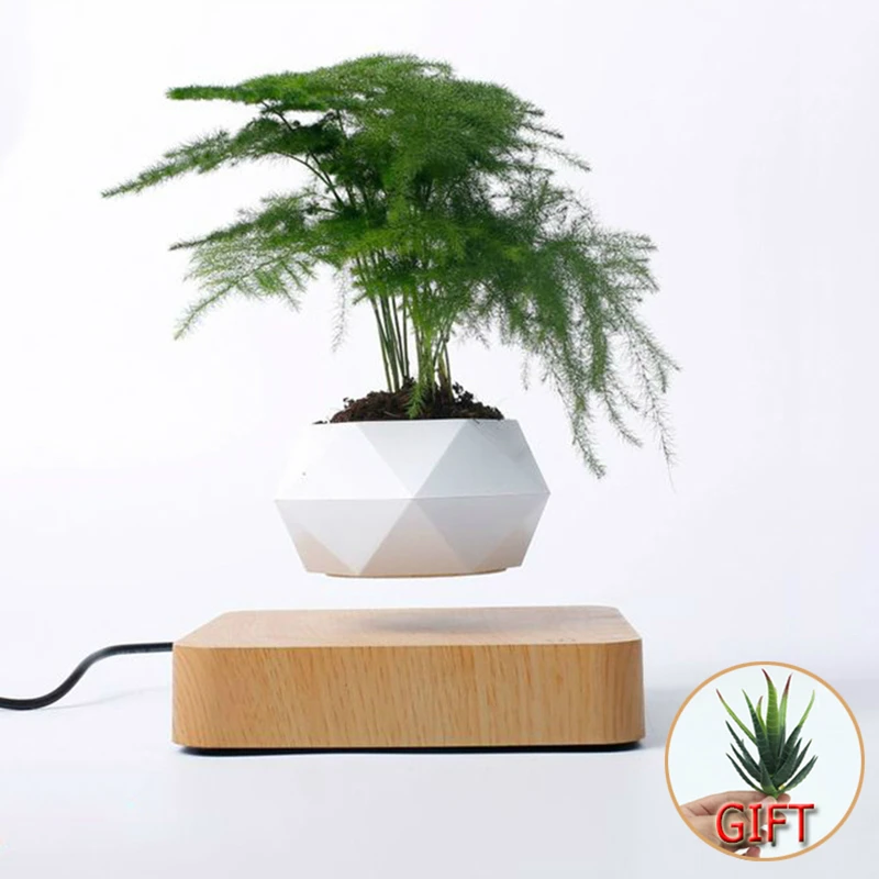 Planters Pot Desk-Decor Flower-Floating-Pot Levitation-Suspension Air-Bonsai Rotation