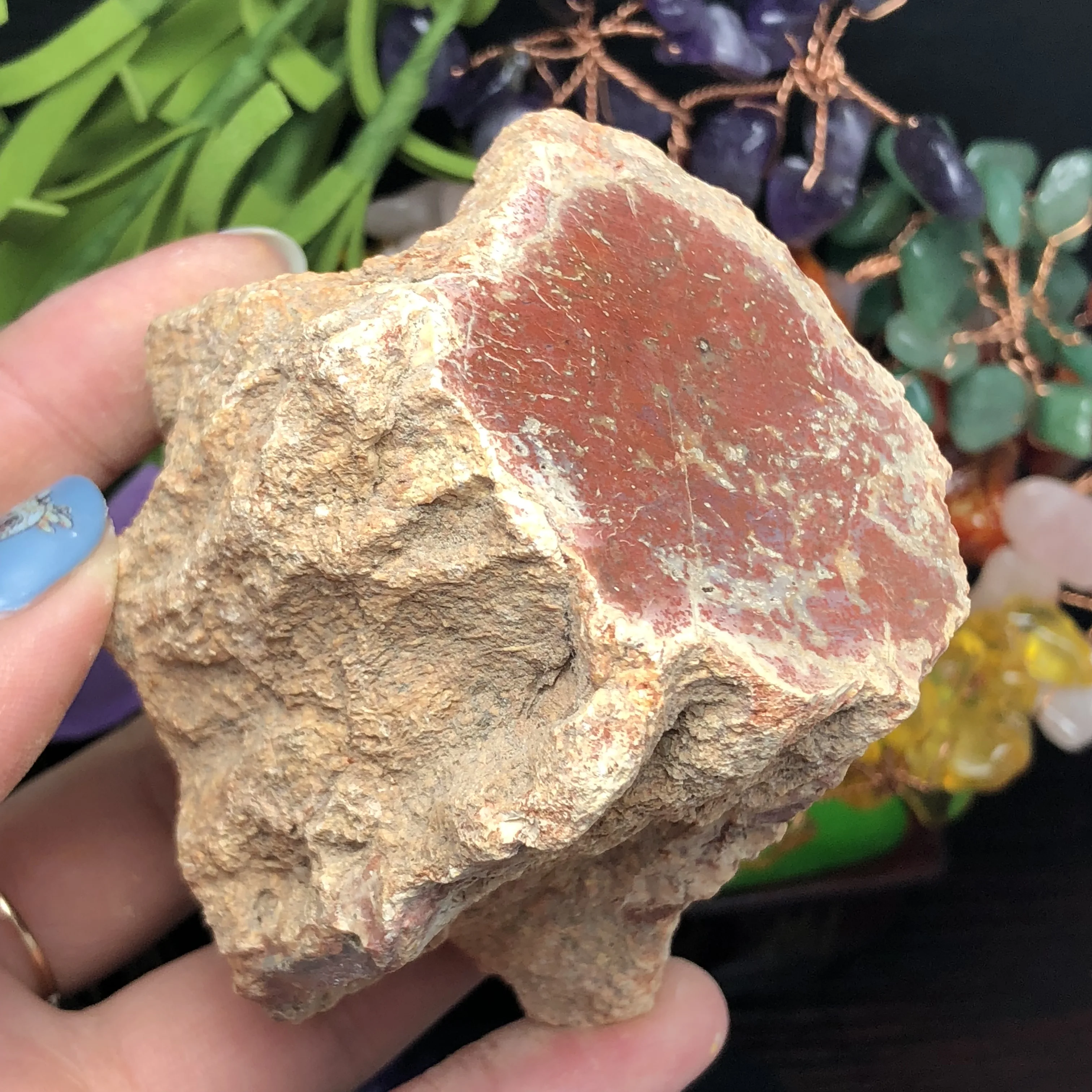 Натуральный каменный камень из окаменелого дерева натуральный минеральный