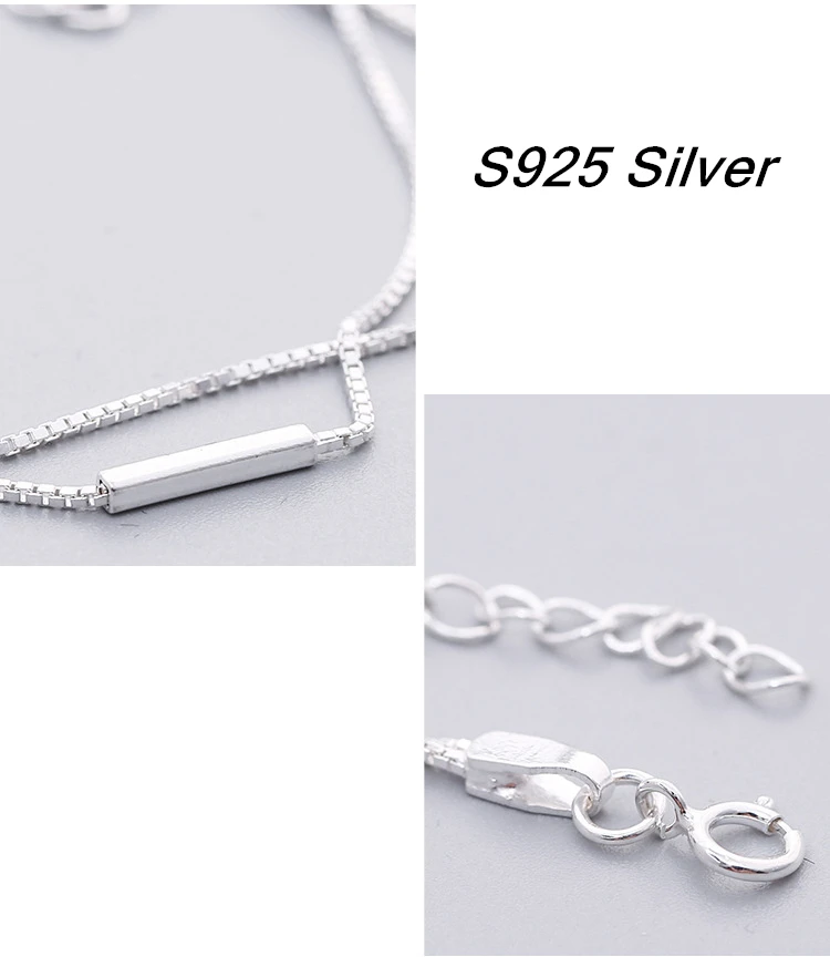 3195450606_823318017