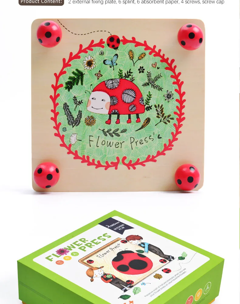 Mideer Wooden Plant Specimens Toy,Funny Wooden Art Outdoor Play Learning Educational Toys