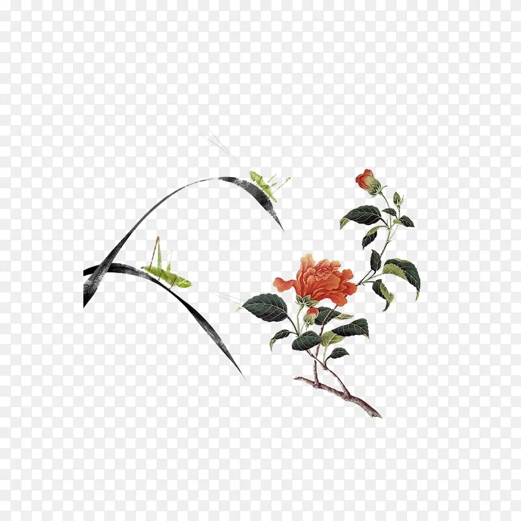 绘画印刷版画艺术手绘水彩画红花蚱蜢png图片素材免费下载 图片编号 Png素材网