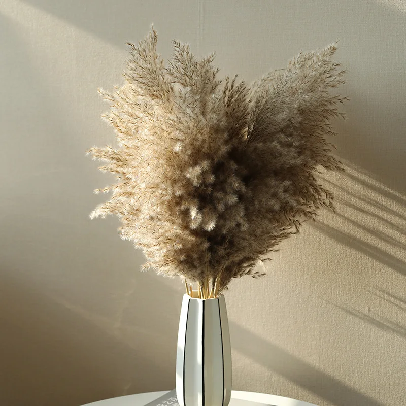Natural Reed Dekoration Pampas Gras Flowers Pantas Artificiales Para Decoracion Real Plants Home Decor Phragmites Communis Bunch | Дом и сад