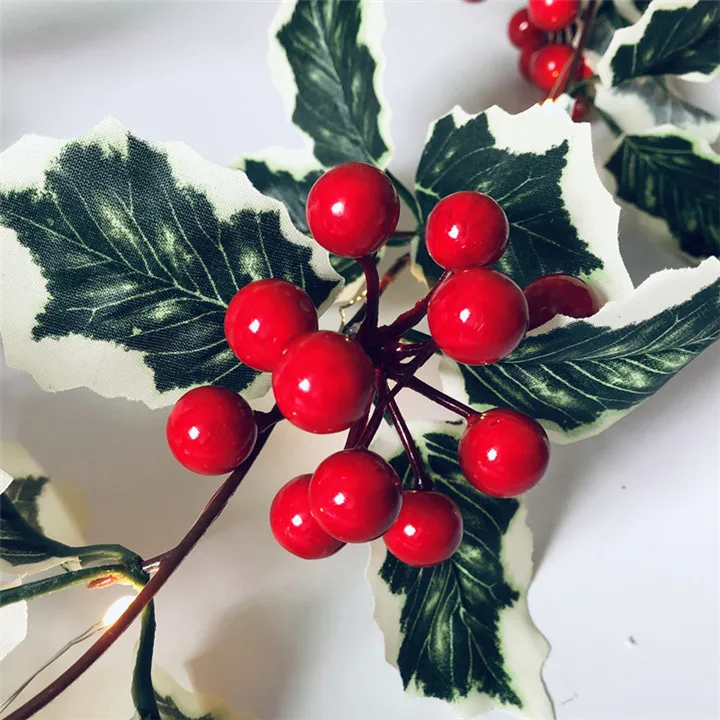 20LEDs Christmas Red Berry LED String Light 6