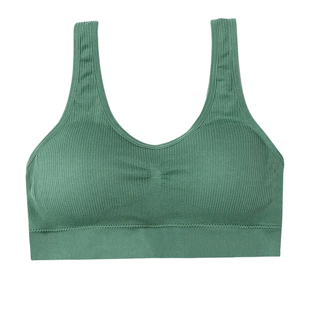 Sijpelen Magistraat Onvergetelijk Sport Top Padding Push | Womens Tops Push Bra Fitness | Womens Sports Bras  Sale - Hot - Aliexpress