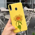Case-c23